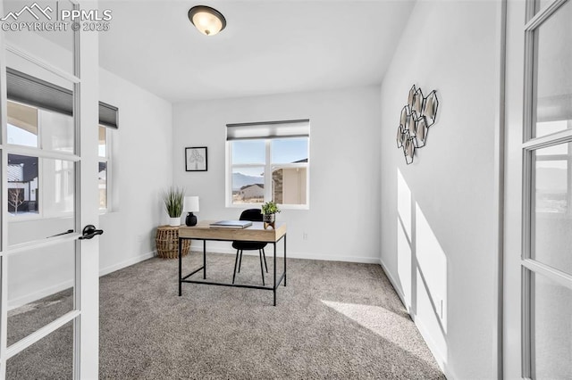 office with carpet floors and french doors