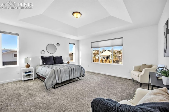 bedroom featuring carpet floors and a raised ceiling