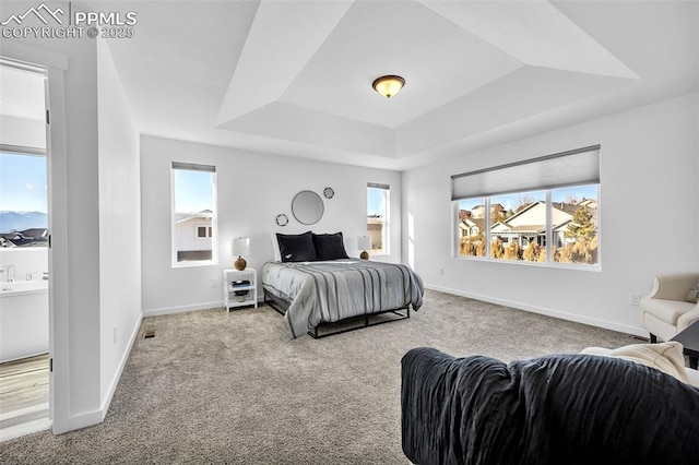 bedroom featuring multiple windows, carpet flooring, and a tray ceiling