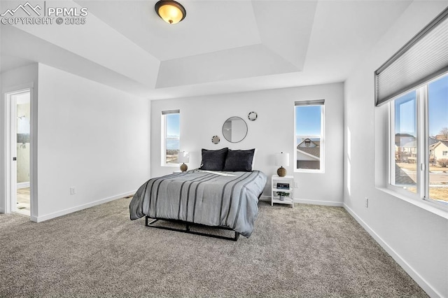 bedroom with multiple windows, a raised ceiling, and carpet flooring