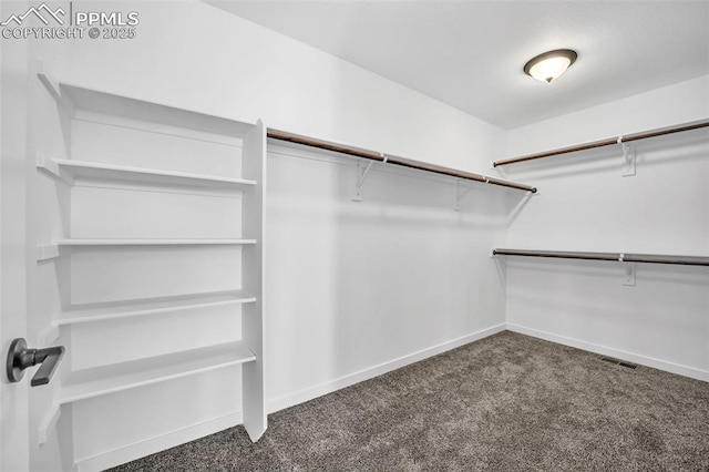 spacious closet with dark colored carpet