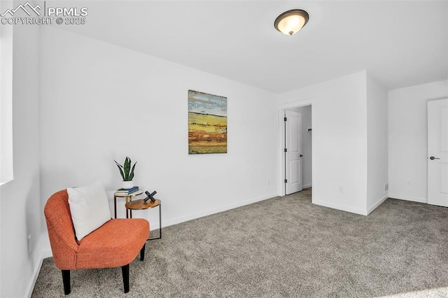 sitting room with carpet floors