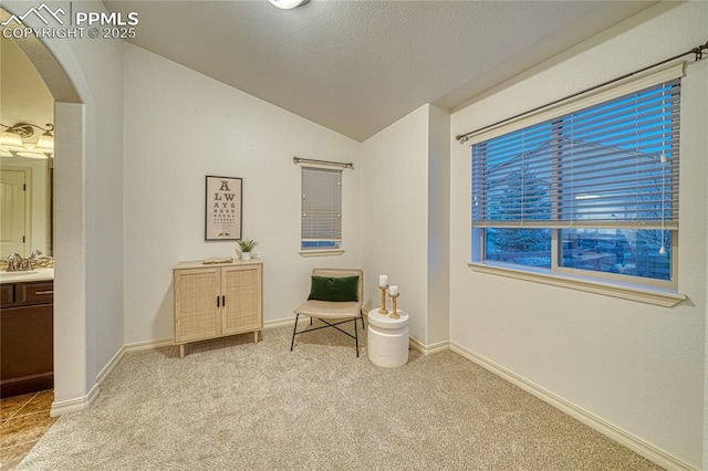 sitting room featuring light colored carpet, vaulted ceiling, and sink