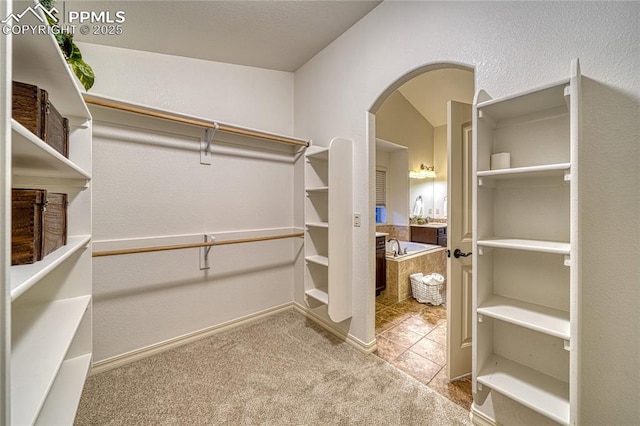 spacious closet featuring light carpet