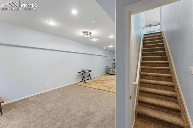 staircase featuring carpet floors