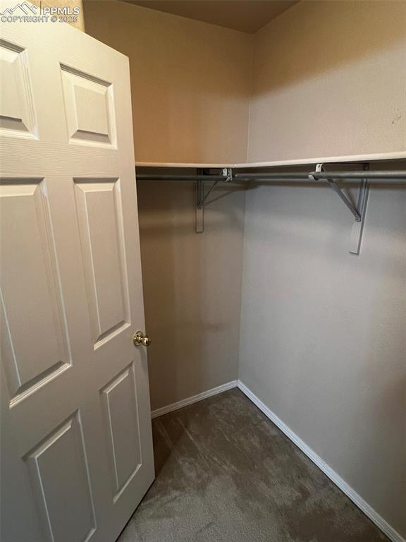 spacious closet with dark carpet