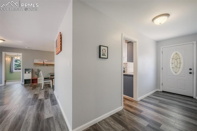 foyer entrance featuring dark hardwood / wood-style floors