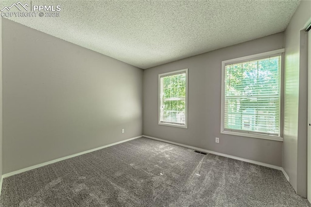 unfurnished room with carpet flooring and a textured ceiling