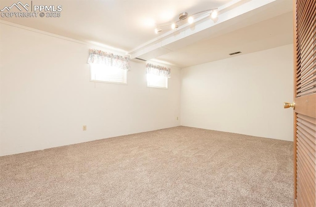 basement featuring carpet