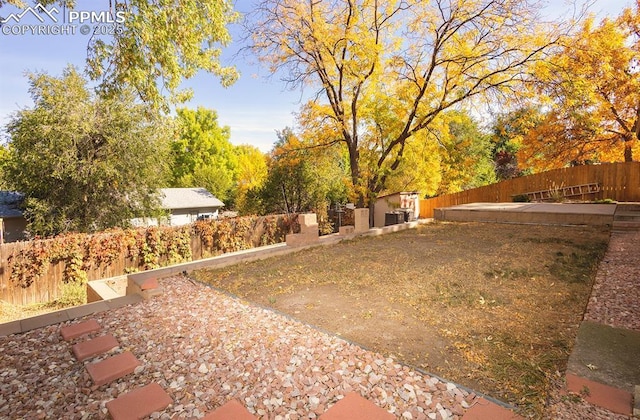 view of yard with a storage shed