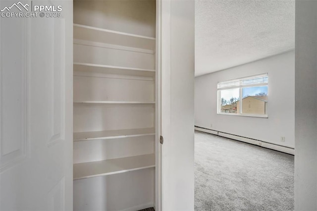 closet with baseboard heating