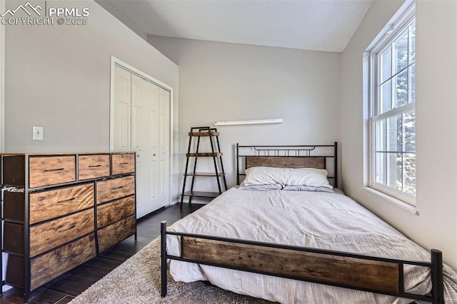 bedroom with dark hardwood / wood-style floors and a closet