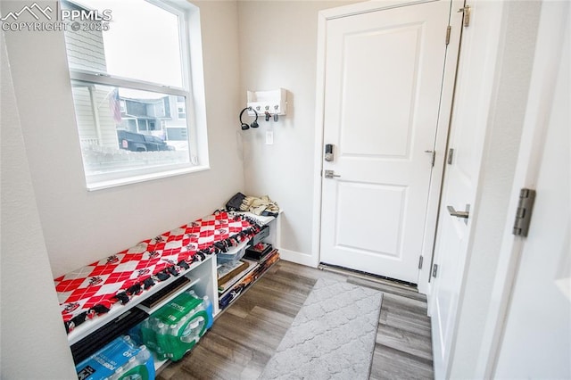 mudroom with hardwood / wood-style flooring