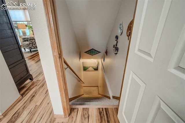 staircase with hardwood / wood-style flooring