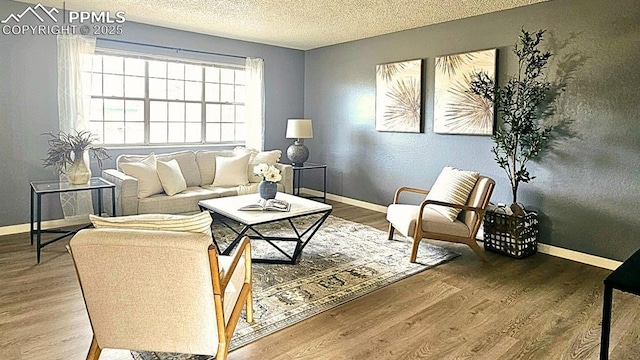 living room featuring a textured ceiling and hardwood / wood-style flooring