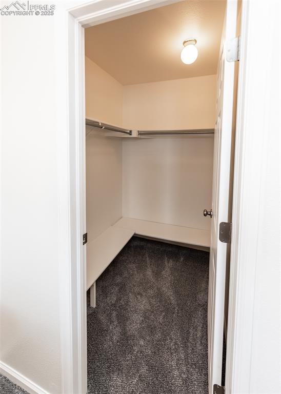 walk in closet with carpet flooring