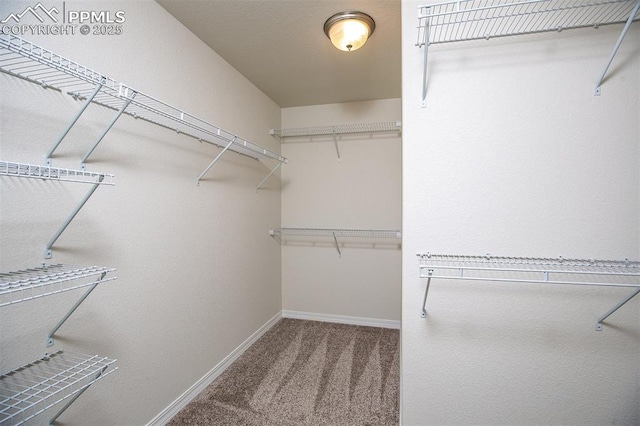 spacious closet with carpet