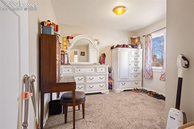 bedroom featuring carpet floors