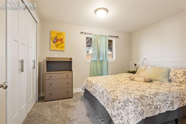 bedroom featuring carpet flooring