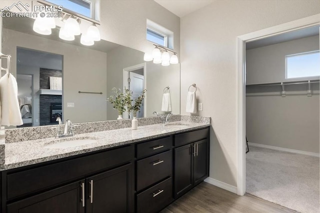 bathroom with wood-type flooring and vanity