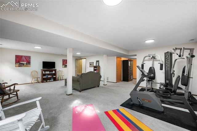 workout room with light colored carpet