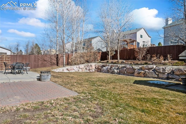 view of yard featuring a patio area