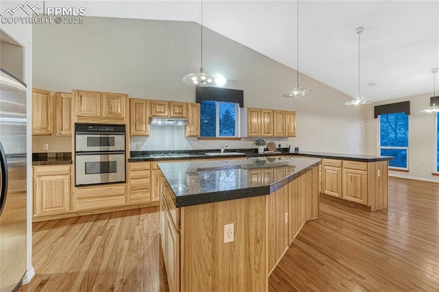 kitchen with light hardwood / wood-style floors, sink, stainless steel appliances, and a center island