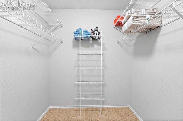 view of spacious closet