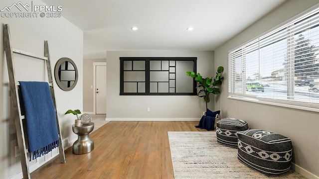 sitting room featuring wood-type flooring