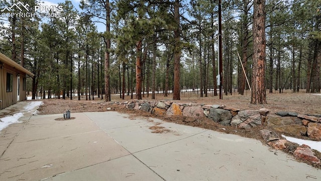 view of yard featuring a patio