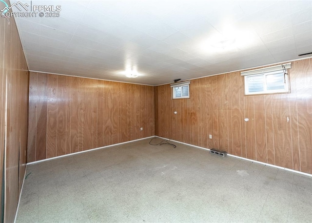 basement with wood walls