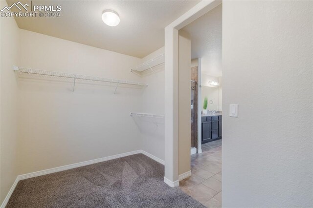 walk in closet featuring light carpet