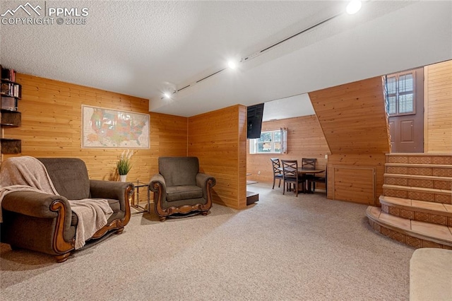 living area with carpet, a textured ceiling, track lighting, and wood walls