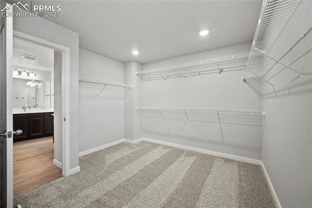 spacious closet with carpet flooring and sink