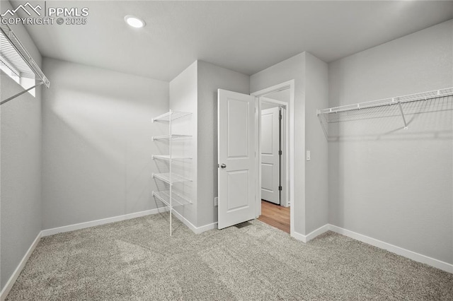 spacious closet with carpet