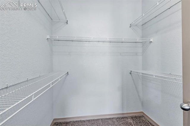 view of walk in closet