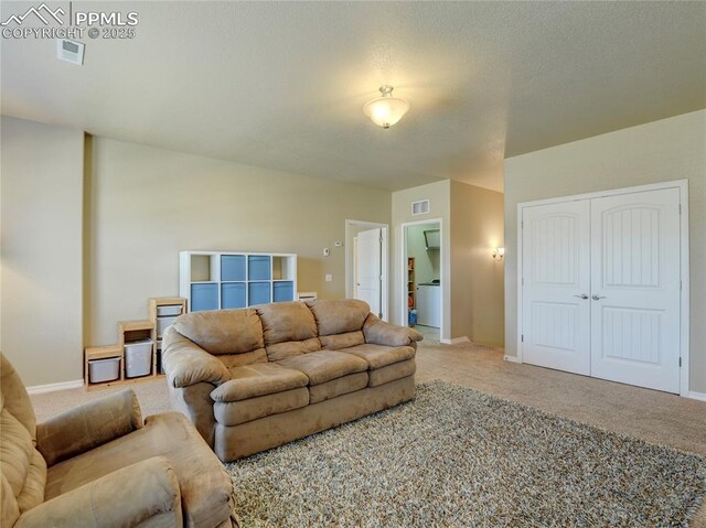 1235 Woodmoor Acres Dr, Monument, CO 80132 - view of carpeted living room