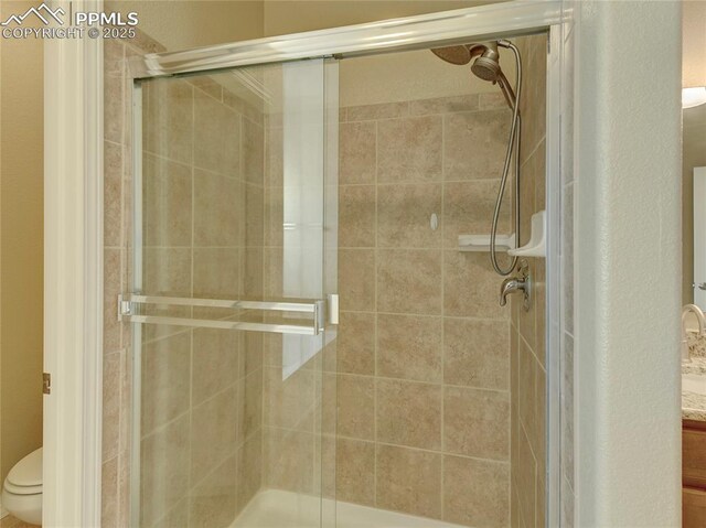 1235 Woodmoor Acres Dr, Monument, CO 80132 - bathroom with vanity, toilet, and an enclosed shower