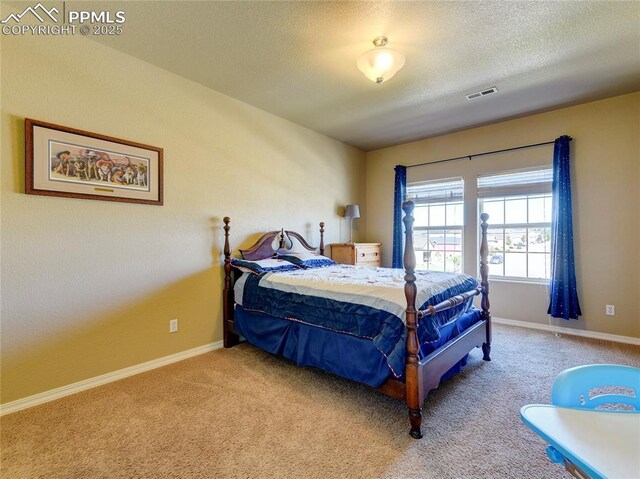 1235 Woodmoor Acres Dr, Monument, CO 80132 - bedroom featuring light colored carpet and a textured ceiling