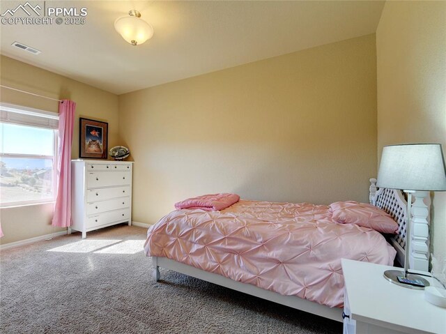1235 Woodmoor Acres Dr, Monument, CO 80132 - view of carpeted bedroom