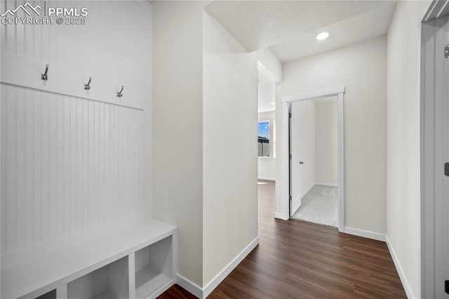 mudroom featuring dark wood-type flooring