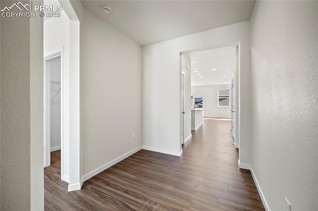 hallway featuring dark wood-type flooring