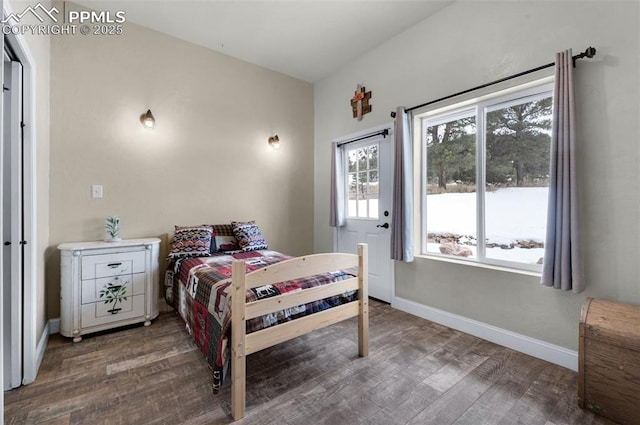 bedroom with hardwood / wood-style flooring and multiple windows