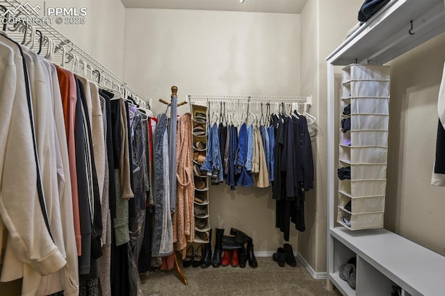 walk in closet with carpet floors