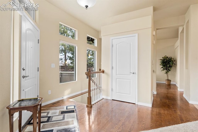 entryway with dark hardwood / wood-style flooring