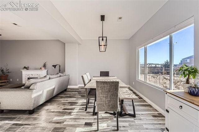 dining room with hardwood / wood-style flooring