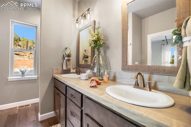 bathroom featuring hardwood / wood-style floors and vanity