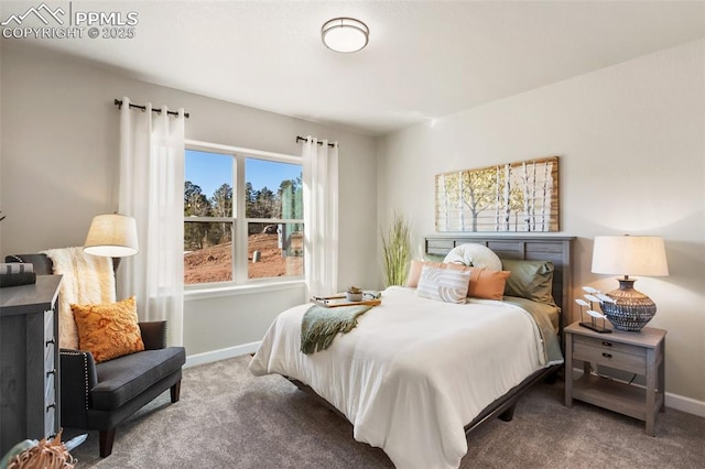 bedroom with carpet flooring