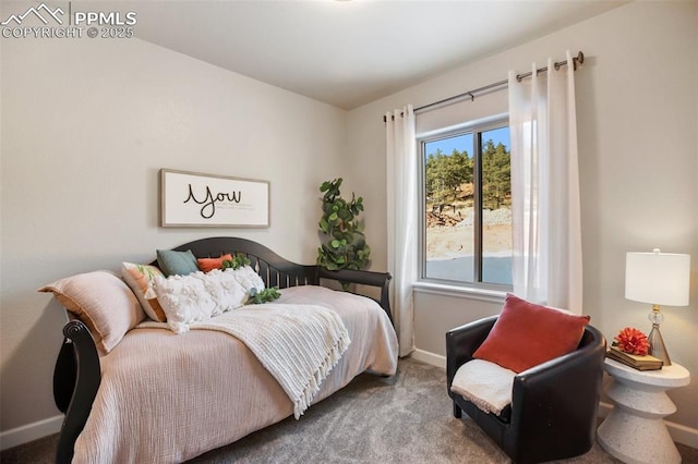 bedroom featuring carpet floors and multiple windows