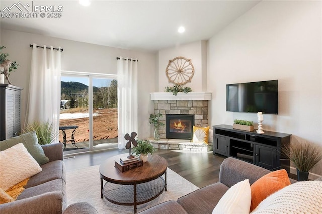 living room featuring a stone fireplace and wood-type flooring